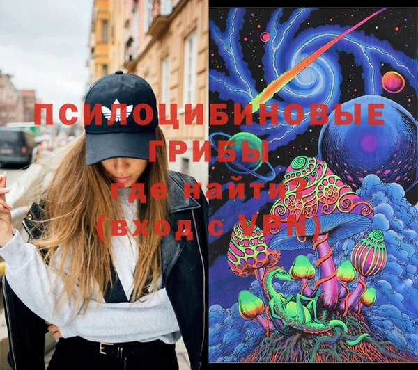 гашик Струнино