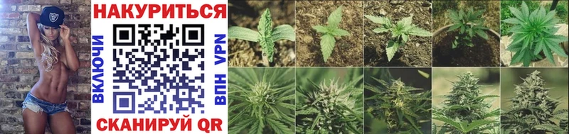 Бошки Шишки марихуана  Купить где  Ясногорск 